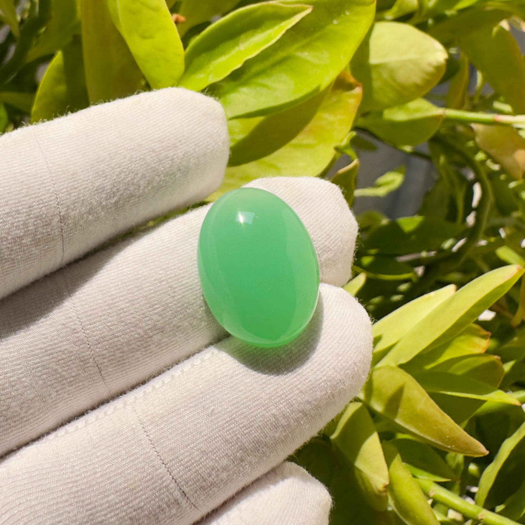 • Stone Name: Natural Chrysoprase • Shape: Oval • Cut: Cabochon • Size: 21 × 15 × 8 mm (Approx) • Weight: 19.40 Carats (Approx) • Quantity: 1 Piece