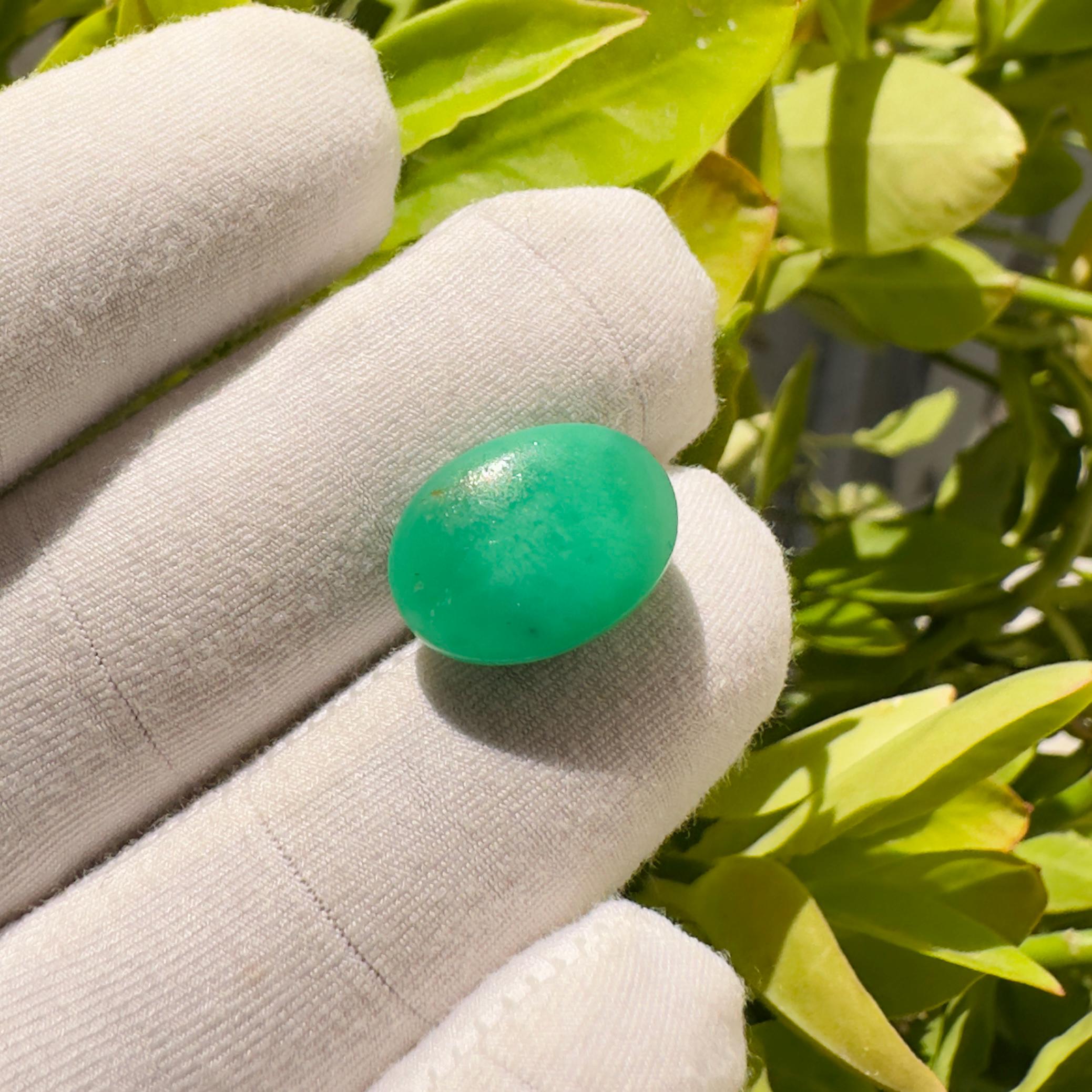 Natural Chrysoprase Oval Cabochon Loose Gemstone 10 Carat AAA Green Chrysoprase Stone for Jewelry Making