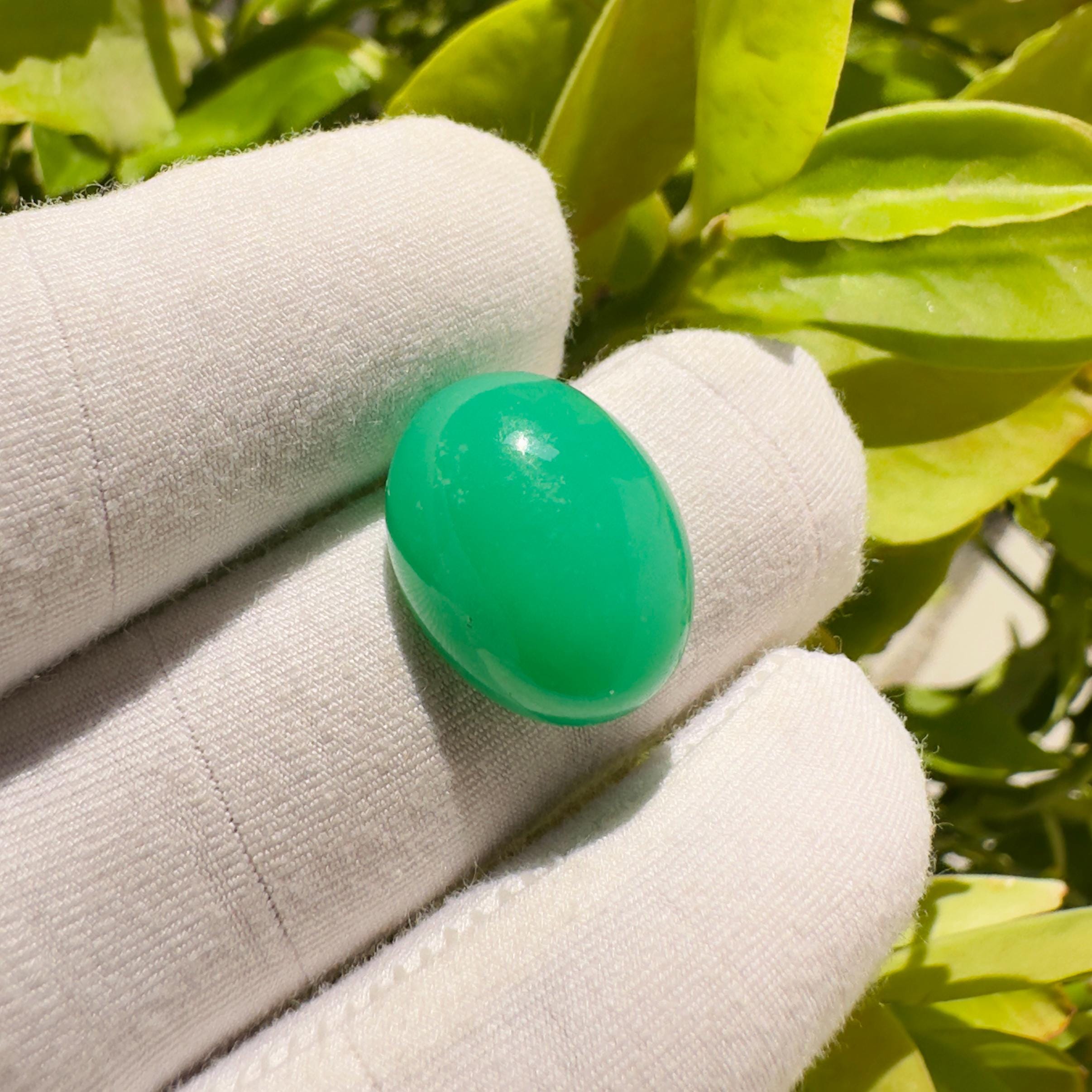 Natural Chrysoprase Oval Cabochon Loose Gemstone 15.75 Carat Green Chrysoprase Stone for Jewelry Making