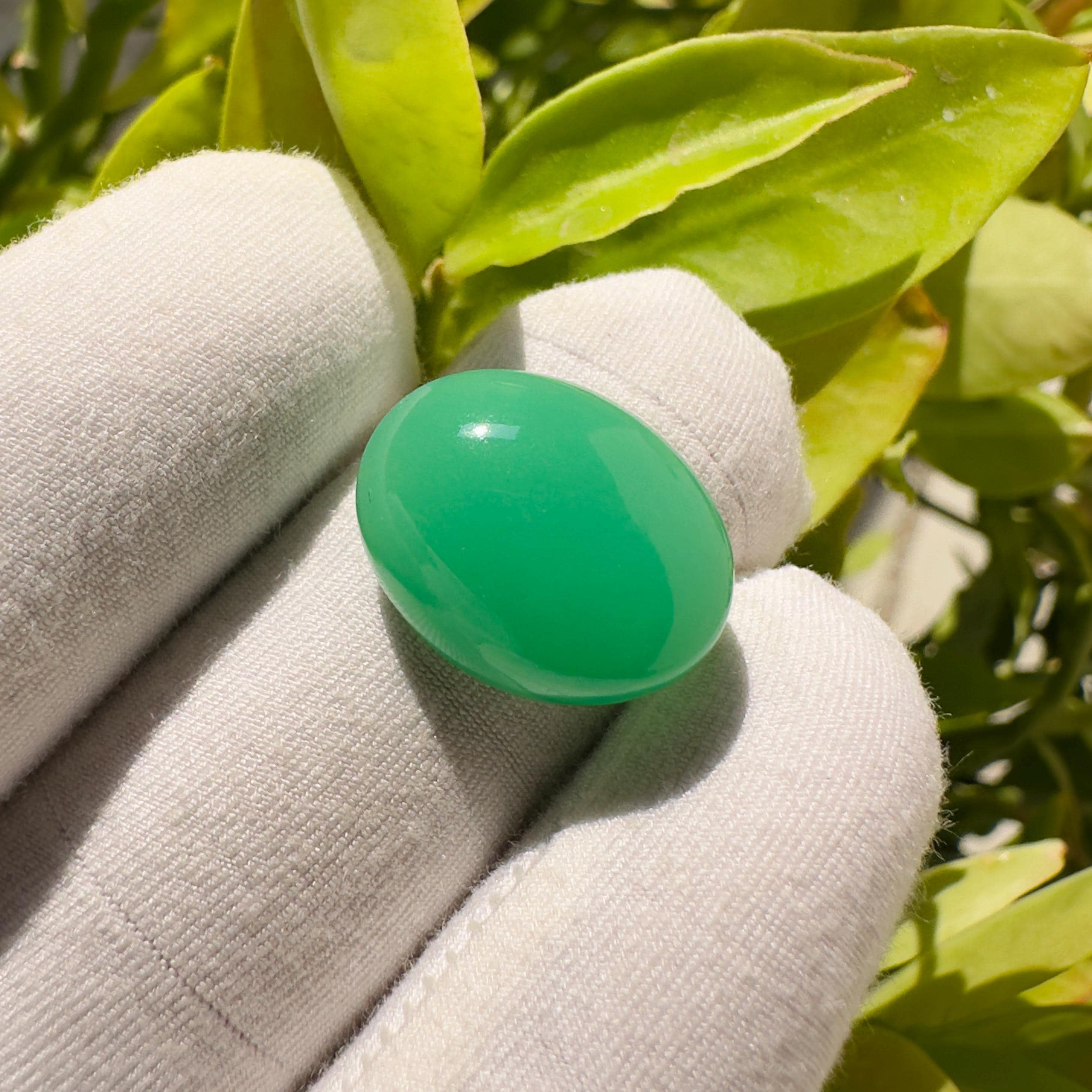 Natural Chrysoprase Oval Cabochon Loose Gemstone 17.35 Carat Green Chrysoprase Stone for Jewelry Making