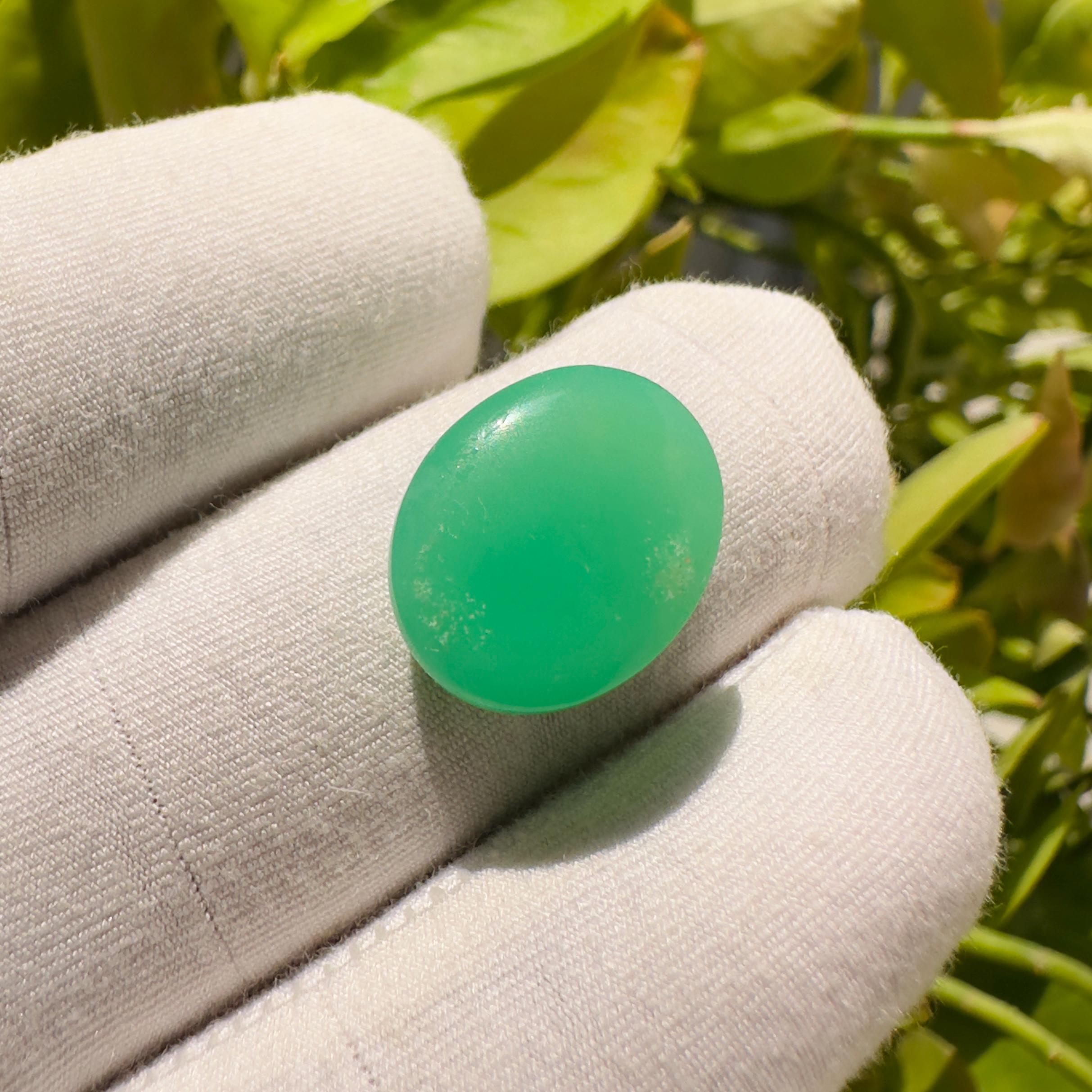 Natural Chrysoprase Oval Cabochon Loose Gemstone 10.30 Carat Green Chrysoprase Stone for Jewelry Making