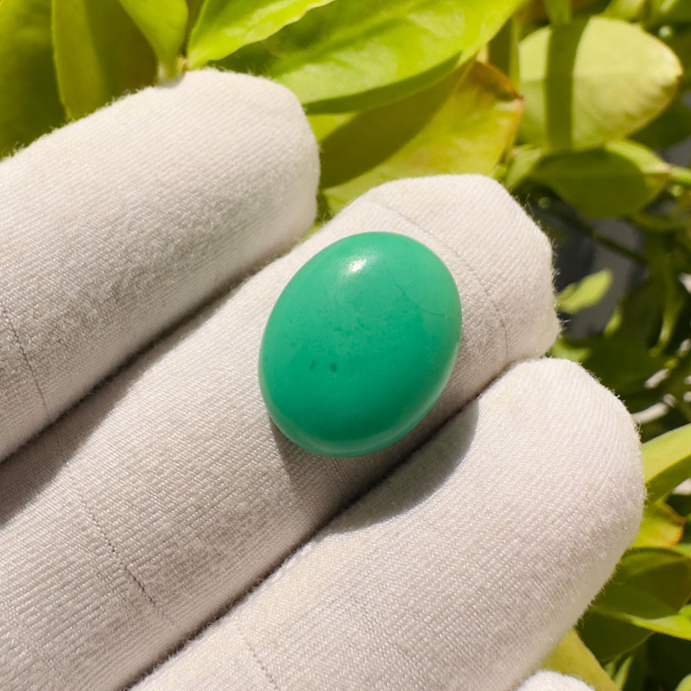 Natural Chrysoprase Oval Cabochon Loose Gemstone 10.55 Carat AAA++ Green Chrysoprase Stone for Jewelry Making