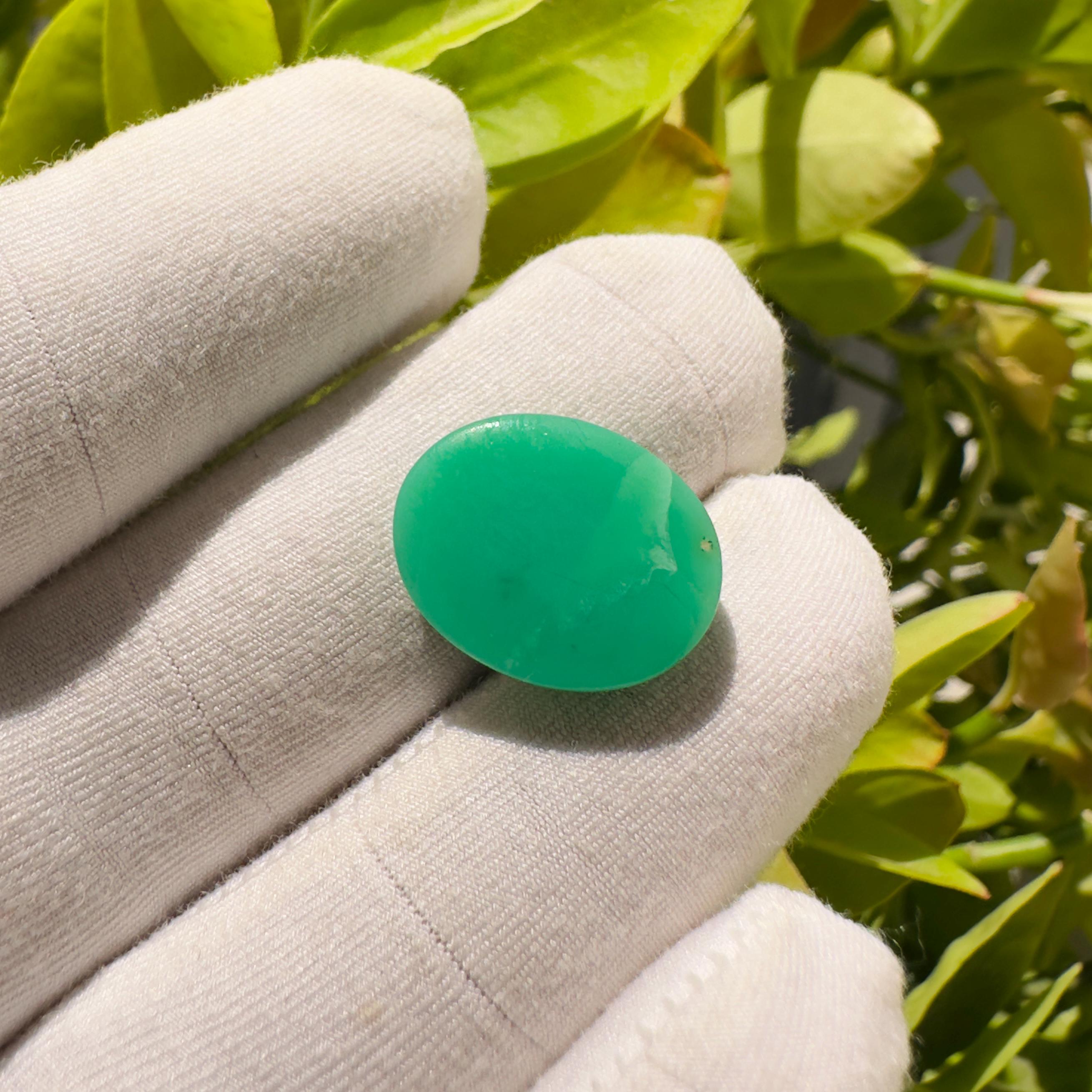 Natural Chrysoprase Oval Cabochon Loose Gemstone 10.55 Carat AAA++ Green Chrysoprase Stone for Jewelry Making