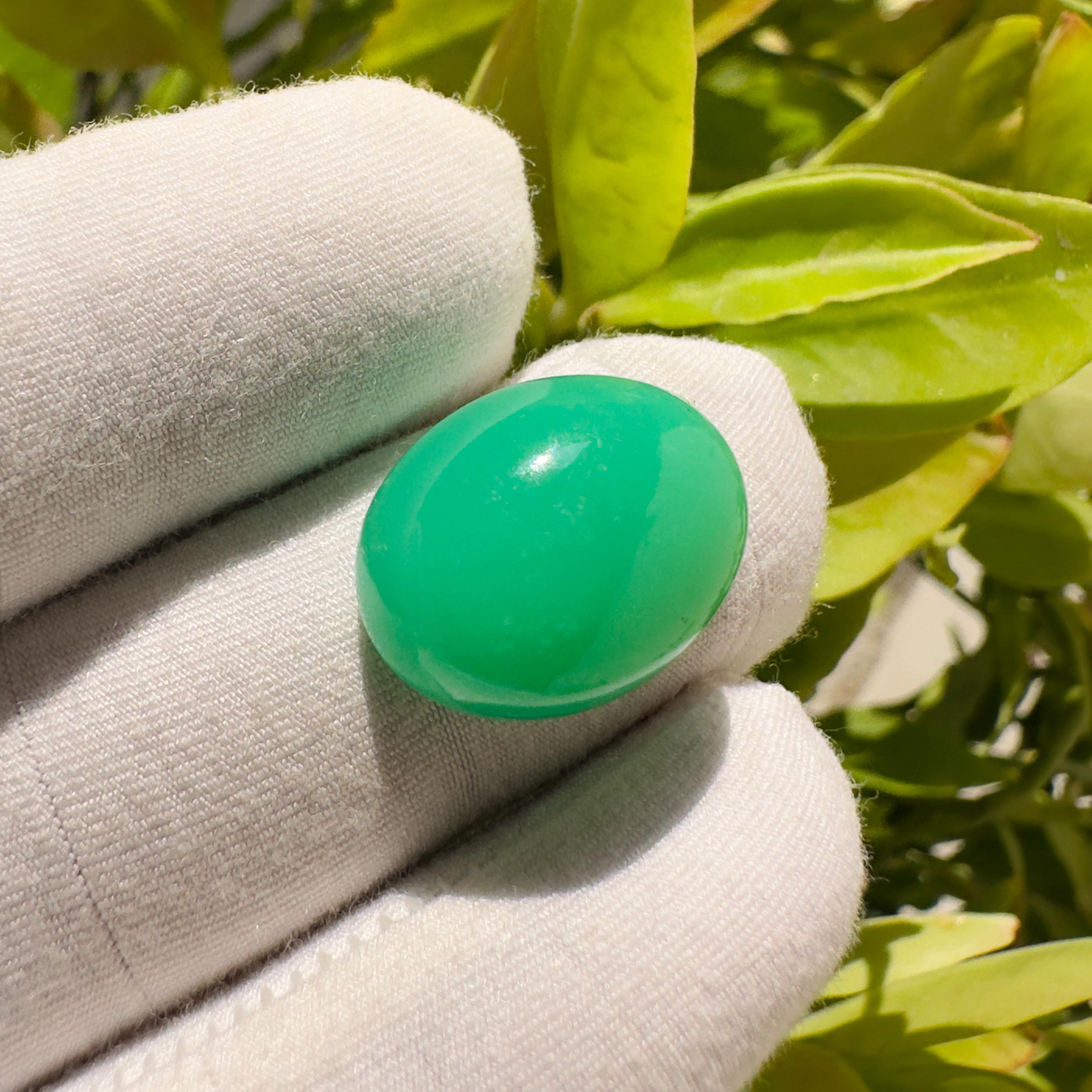 Natural Chrysoprase Oval Cabochon Loose Gemstone 12.15 Carat Green Chrysoprase Stone for Jewelry Making