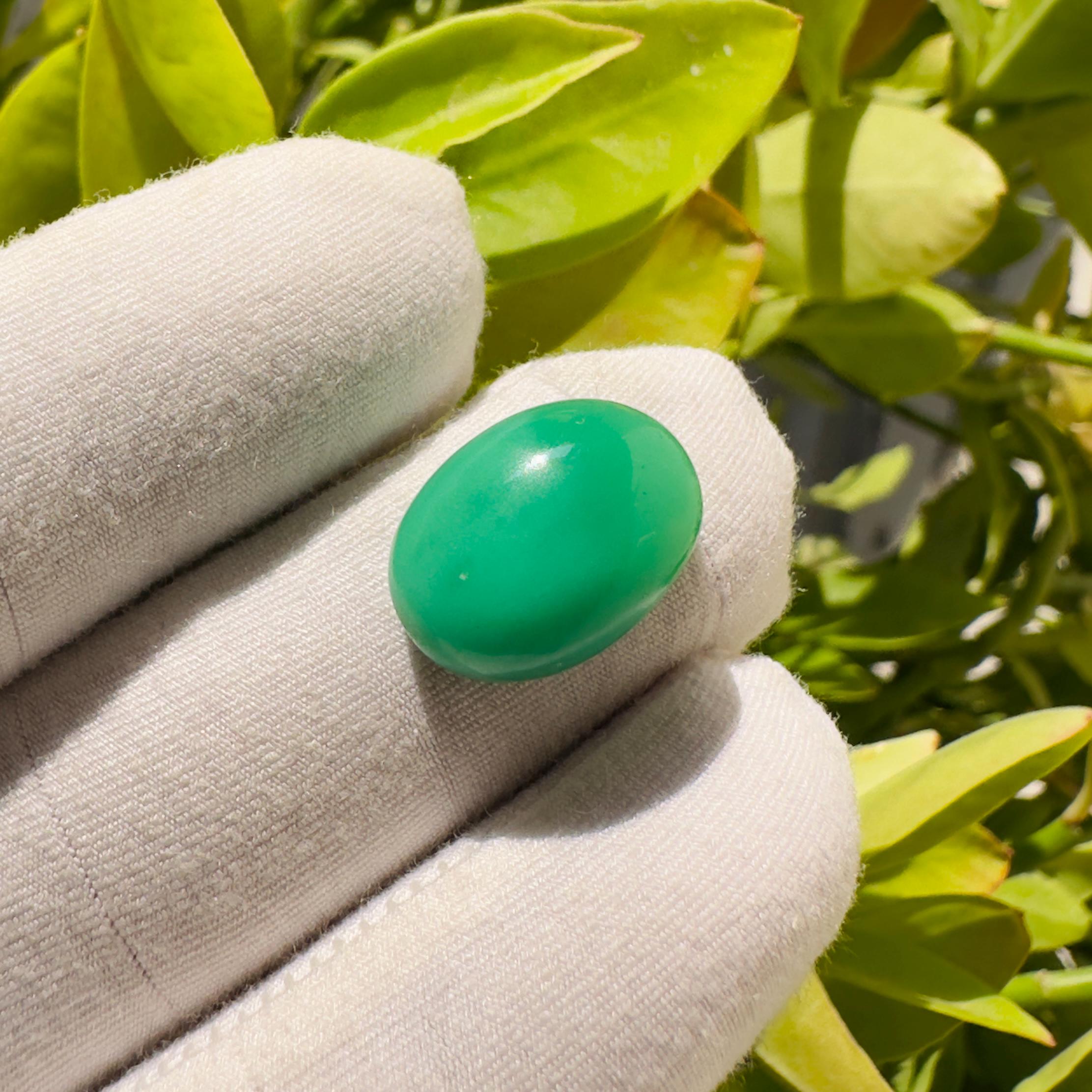 Natural Chrysoprase Oval Cabochon Loose Gemstone 10 Carat AAA Green Chrysoprase Stone for Jewelry Making