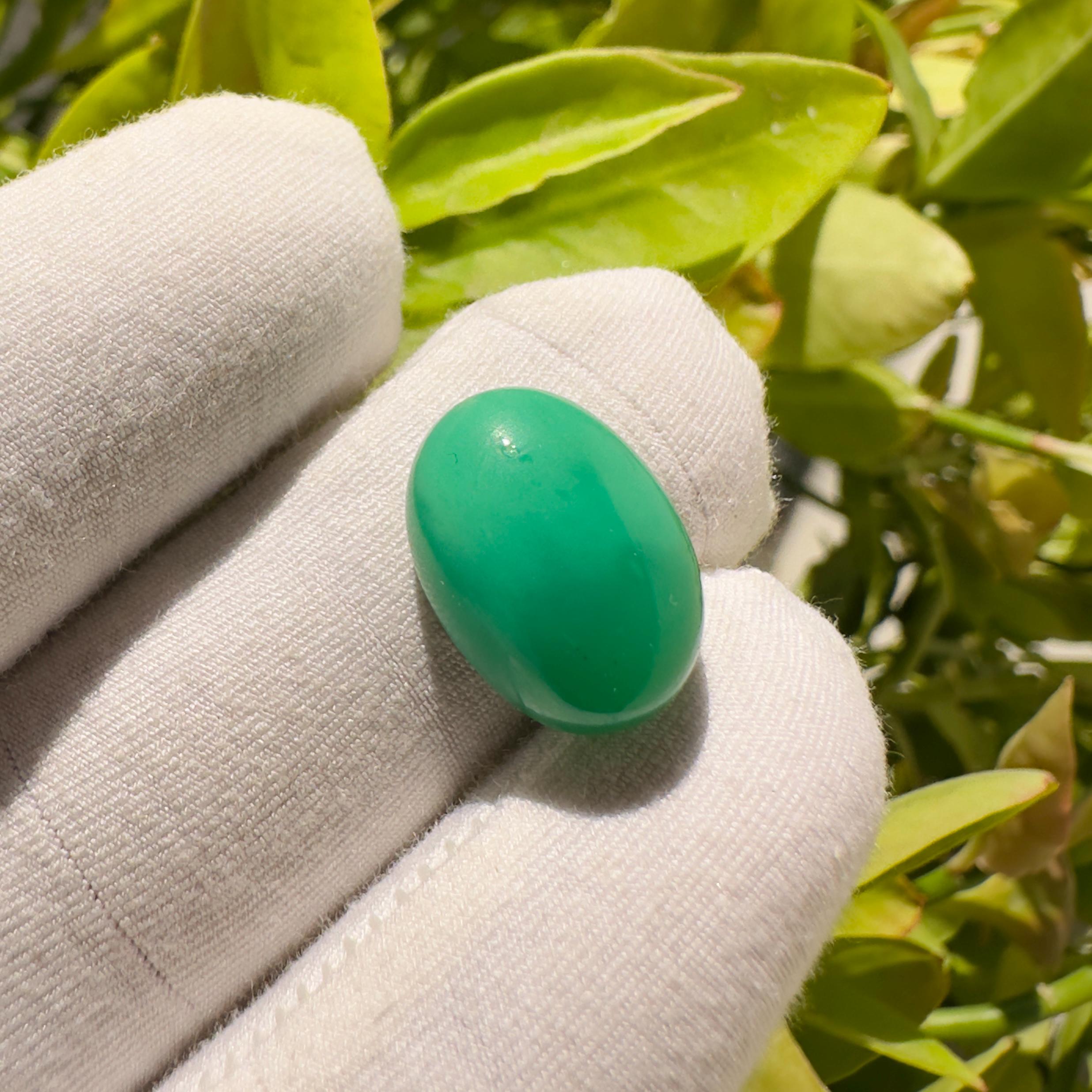 Natural Chrysoprase Oval Cabochon Loose Gemstone 10 Carat AAA Green Chrysoprase Stone for Jewelry Making