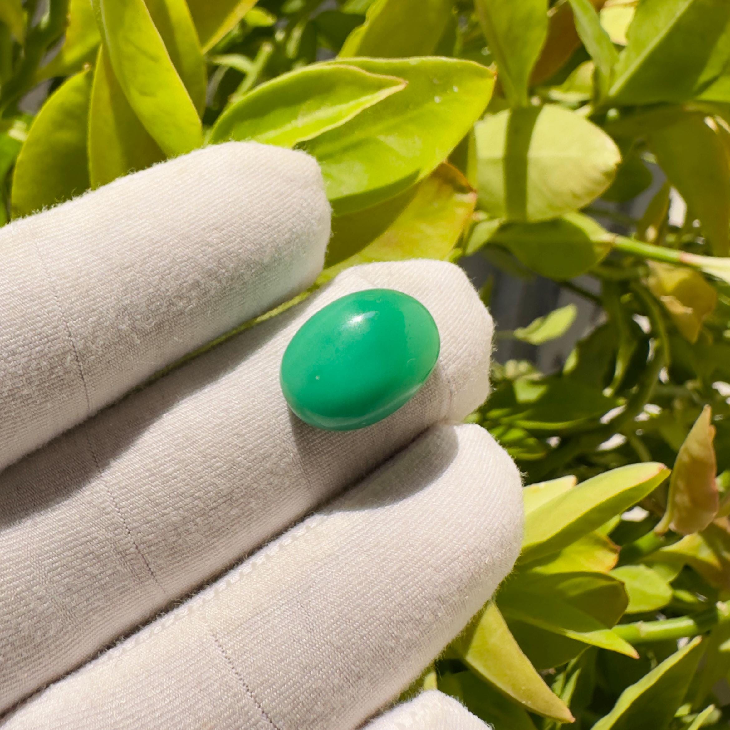 Natural Chrysoprase Oval Cabochon Loose Gemstone 10 Carat AAA Green Chrysoprase Stone for Jewelry Making