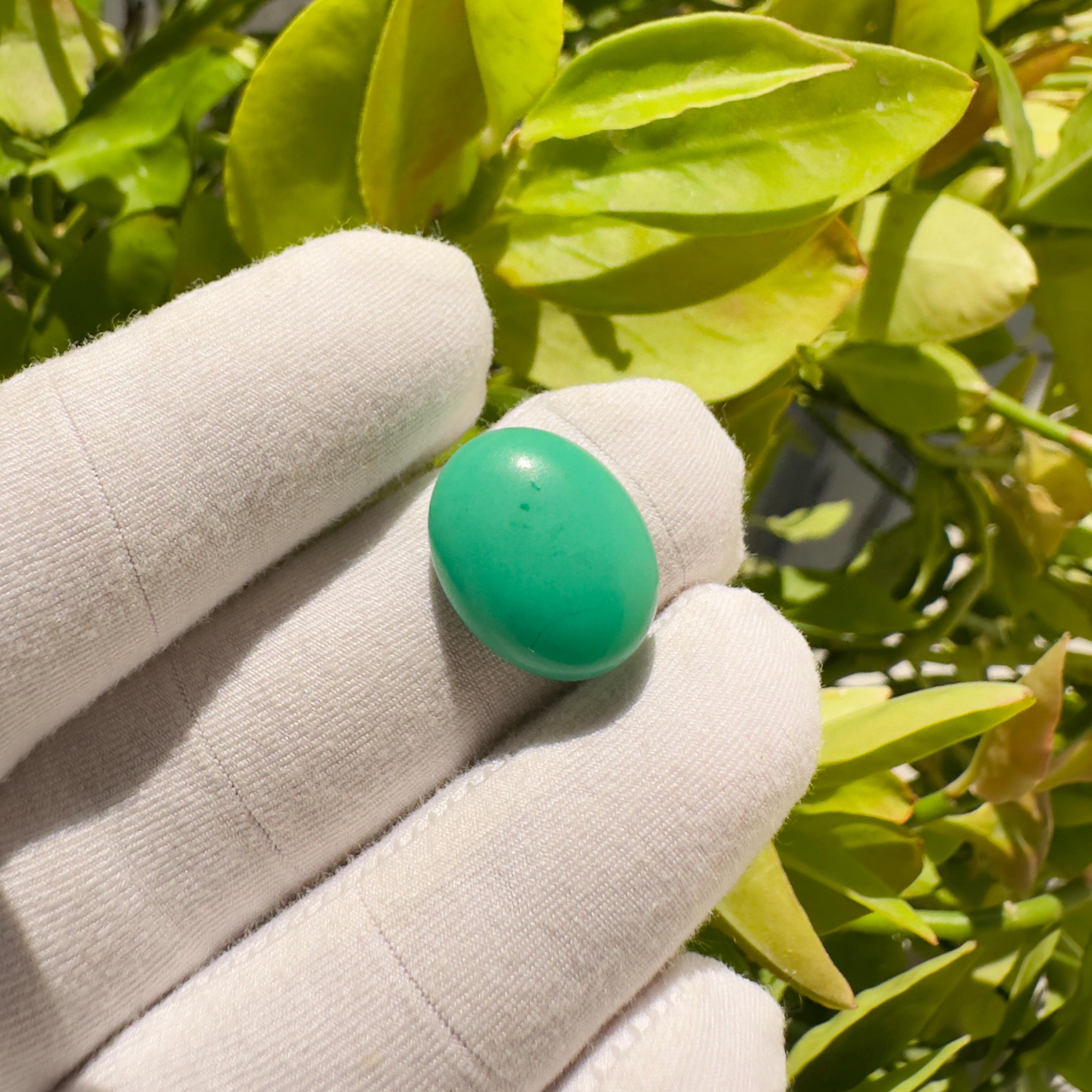 Natural Chrysoprase Oval Cabochon Loose Gemstone 10.55 Carat AAA++ Green Chrysoprase Stone for Jewelry Making