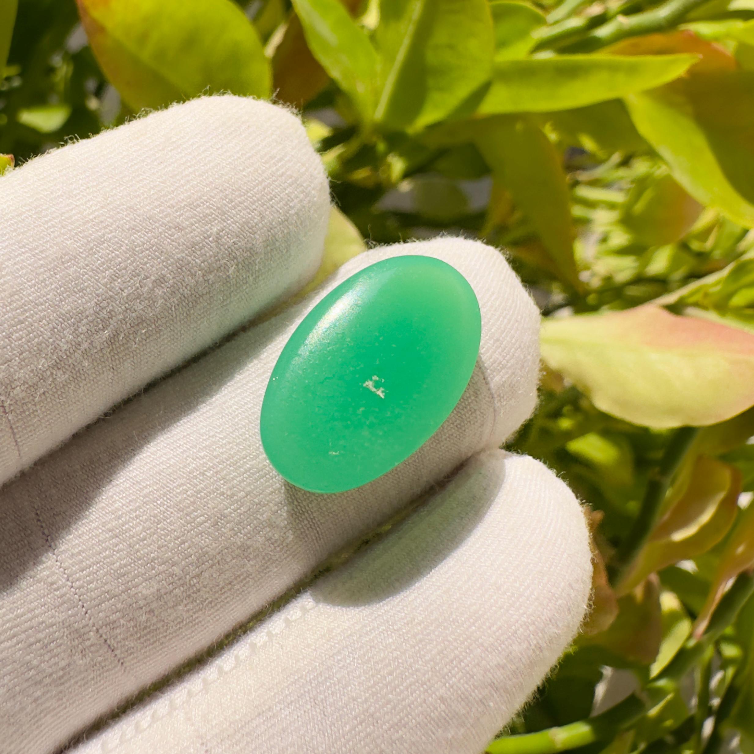 Natural Chrysoprase Oval Cabochon Loose Gemstone 8.95 Carat Green Chrysoprase Stone for Jewelry Making