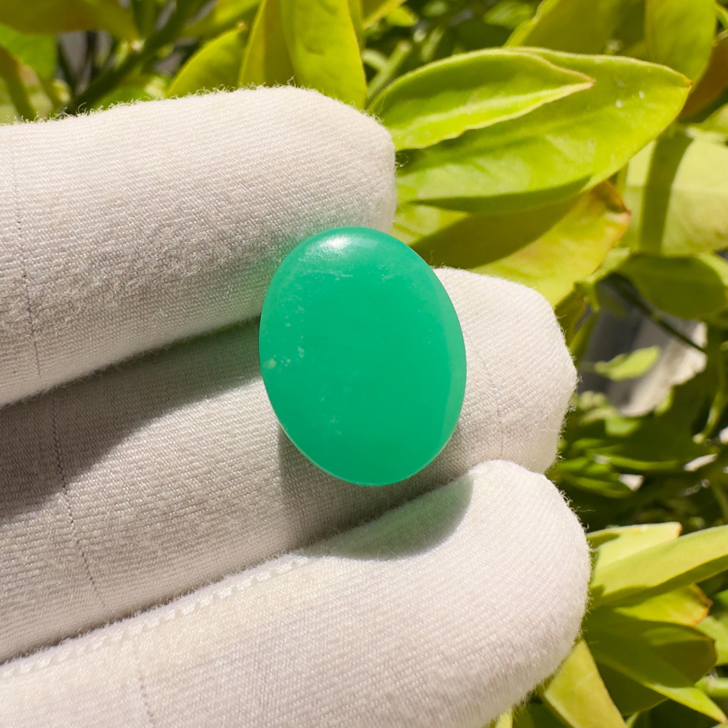 Natural Chrysoprase Oval Cabochon Loose Gemstone 12.15 Carat Green Chrysoprase Stone for Jewelry Making