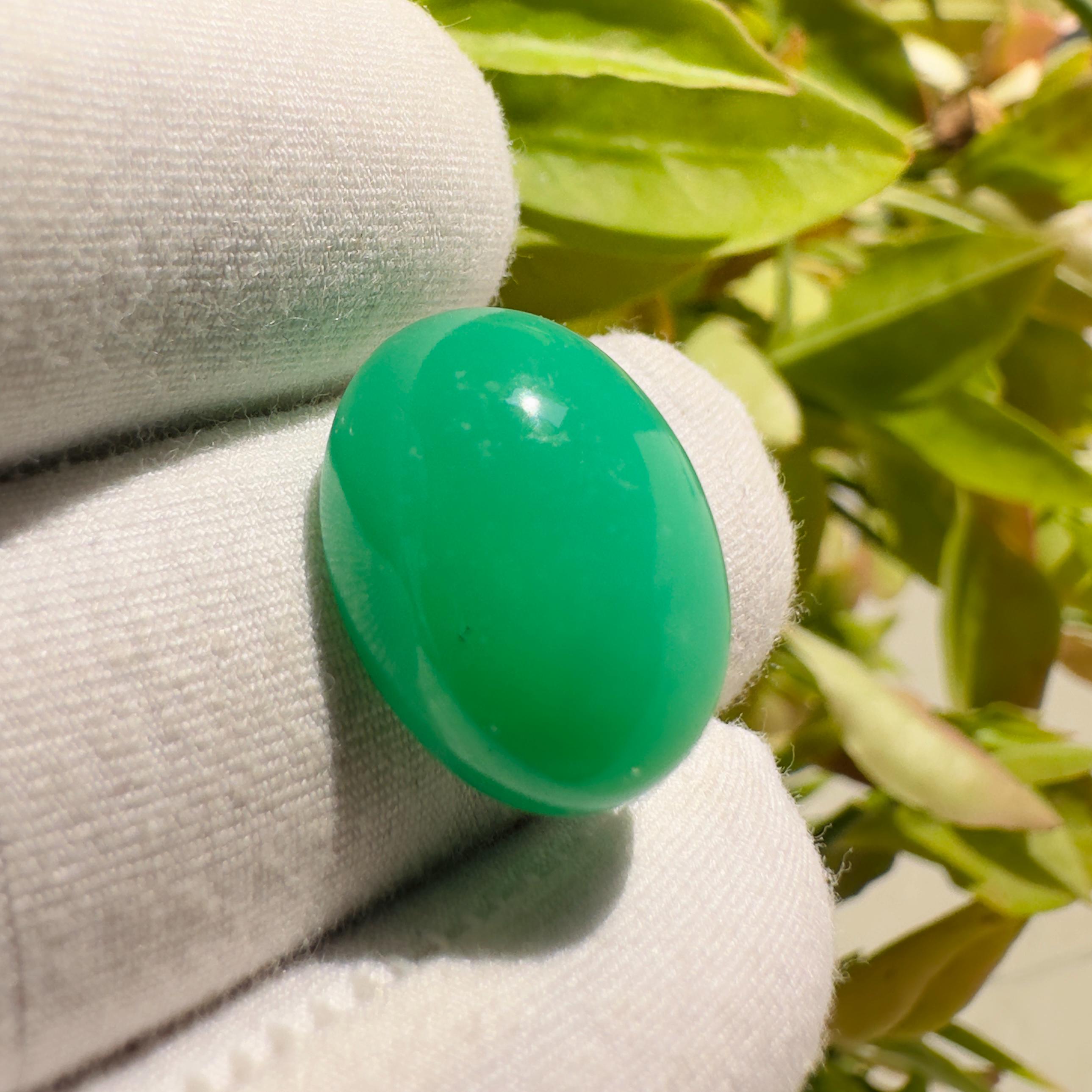 Natural Chrysoprase Oval Cabochon Loose Gemstone 15.75 Carat Green Chrysoprase Stone for Jewelry Making