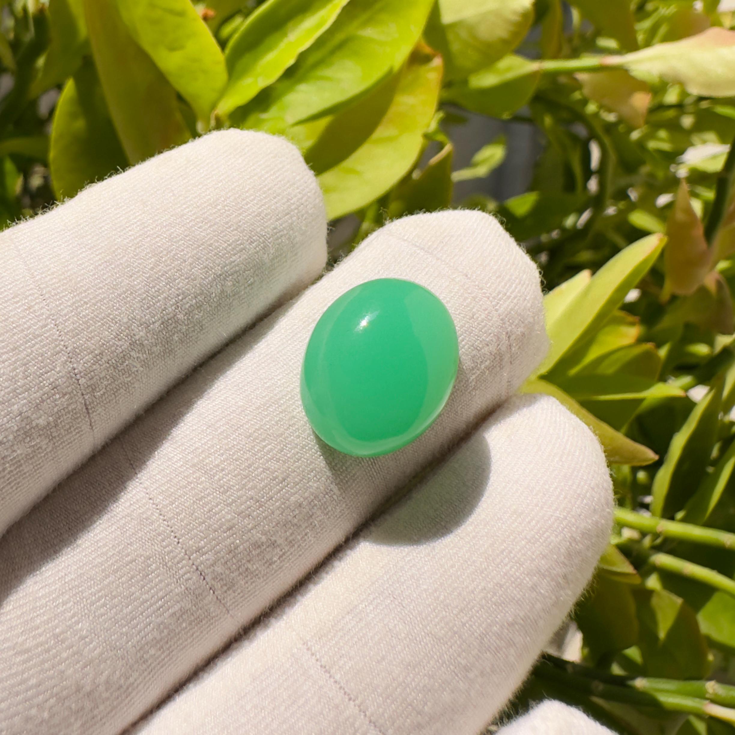 Natural Chrysoprase Oval Cabochon Loose Gemstone 10.30 Carat Green Chrysoprase Stone for Jewelry Making